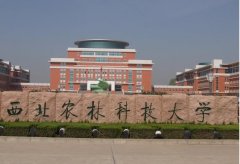 西北農(nóng)林科技大學MBA廣東班VIP調劑通知