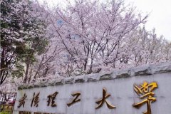 廣東MBA考研調(diào)劑武漢理工大學(xué)有什么條件？