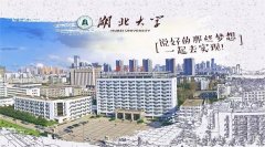 廣東MBA考研調(diào)劑湖北大學(xué)有什么條件？