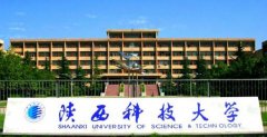 2021年陜西科技大學MBA調(diào)劑開網(wǎng)時間
